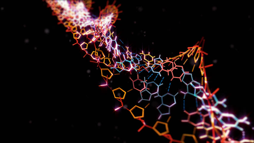 cover of next post